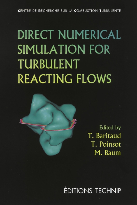 Direct Numerical Simulation for Turbulent Reacting Flows